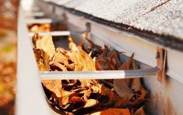 Whitecote gutter cleaning companies
